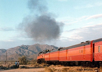 4449