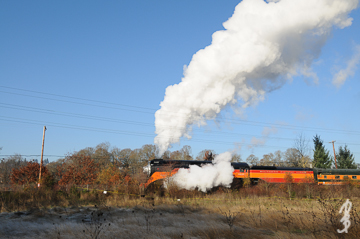 Washing the train